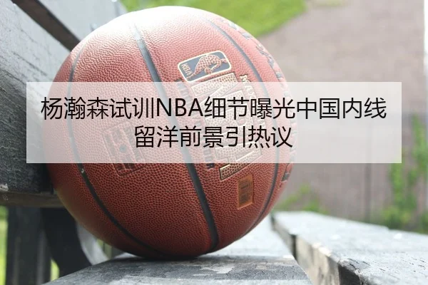杨瀚森试训NBA细节曝光中国内线留洋前景引热议